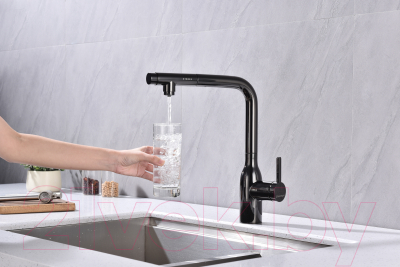 Смеситель Paulmark Viper Vi213105-GB