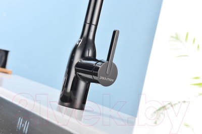 Смеситель Paulmark Viper Vi213105-GB