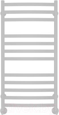 Полотенцесушитель водяной Terminus Авиэль П12 500x1000