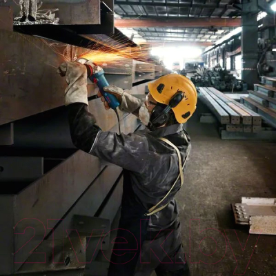 Профессиональная угловая шлифмашина Bosch GWS 12-125 S