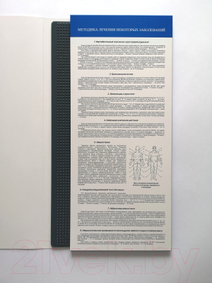 Массажный аппликатор Колючий врачеватель КВ-400Л