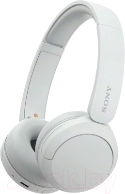 Беспроводные наушники Sony WH-CH520 - фото