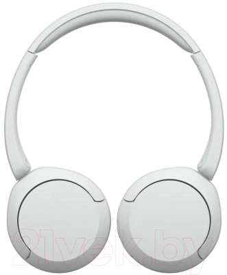 Беспроводные наушники Sony WH-CH520