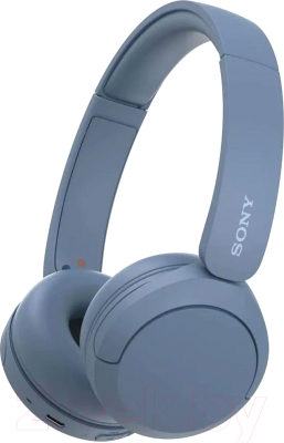 Беспроводные наушники Sony WH-CH520 - фото