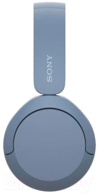 Беспроводные наушники Sony WH-CH520