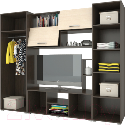 Стенка Горизонт Мебель Флора-2