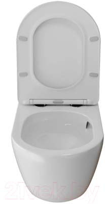 Унитаз подвесной White Wave Meridian Tornado Flush