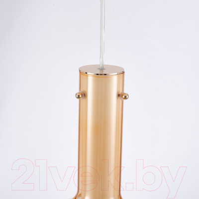 Потолочный светильник FAVOURITE 4102-1P