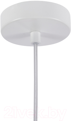 Потолочный светильник FAVOURITE 4102-1P