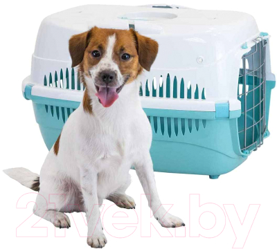 Переноска для животных ZooM Спутник-3 / 4292бирюз-бел