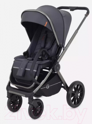 Детская универсальная коляска Rant Falcon 2 в 1 / RA097