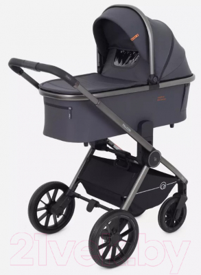 Детская универсальная коляска Rant Falcon 2 в 1 / RA097