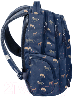 Рюкзак Paso BU22HO-2908