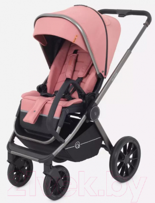 Детская универсальная коляска Rant Falcon 3 в 1 / RA098