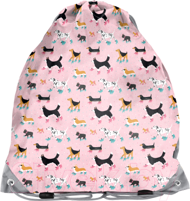 Мешок для обуви Paso PP21DG-712 - фото