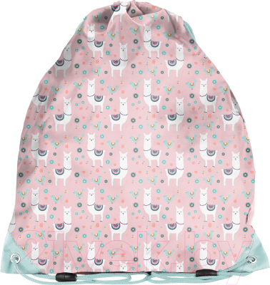 Мешок для обуви Paso PP22LM-712 - фото