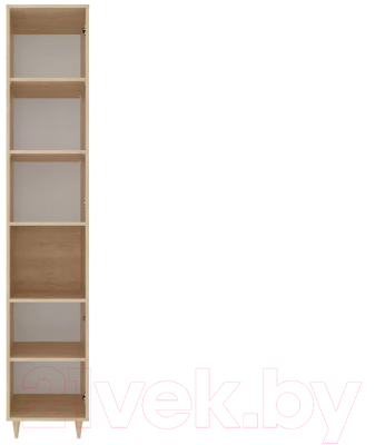 Шкаф-пенал Stolline Киото / СТЛ.339.07 (дуб небраска/бетон темный)