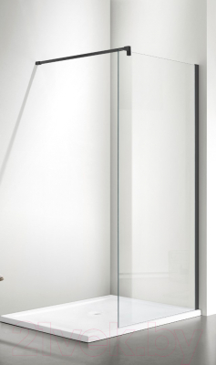 Душевая стенка Adema Реген 120 Walk-In (черный)