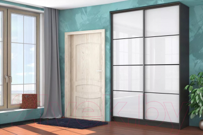 Шкаф-купе Stolline Байкал-2 2-х дверный / СТЛ.268.11