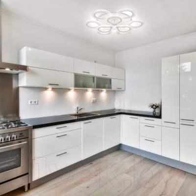 Люстра ESCADA Menita 10270/9LED BL