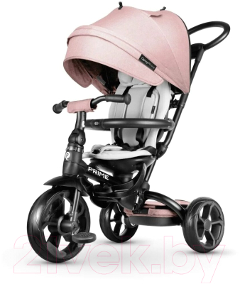 Трехколесный велосипед с ручкой QPlay Prime / Prime1P