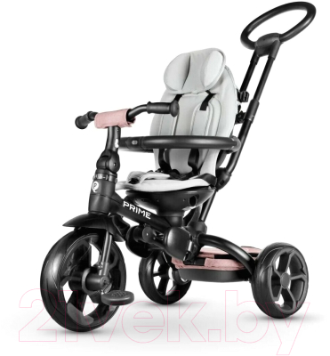Трехколесный велосипед с ручкой QPlay Prime / Prime1P
