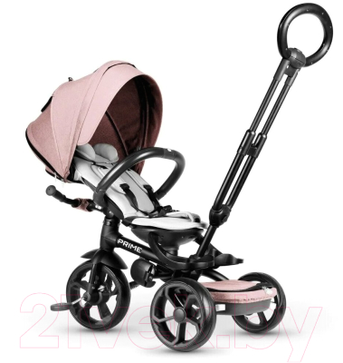 Трехколесный велосипед с ручкой QPlay Prime / Prime1P