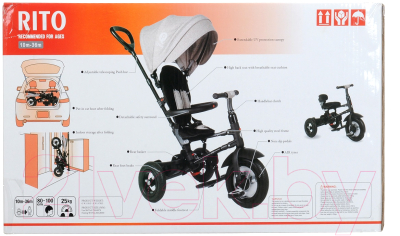 Трехколесный велосипед с ручкой QPlay QA6R