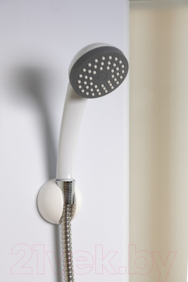 Душевая кабина Niagara Promo P80/40/MT 80x80x215