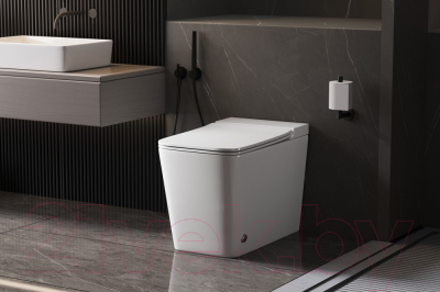 Унитаз приставной Abber Bequem AC1213P