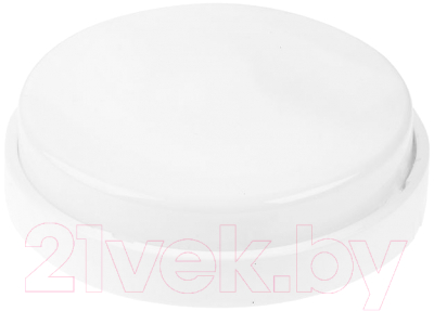 Светильник ЖКХ Юпитер JP1310-01 - фото