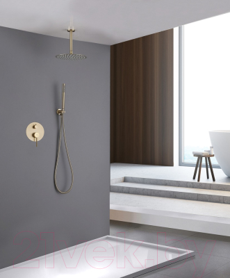 Душевая система Abber Emotion AF8821G