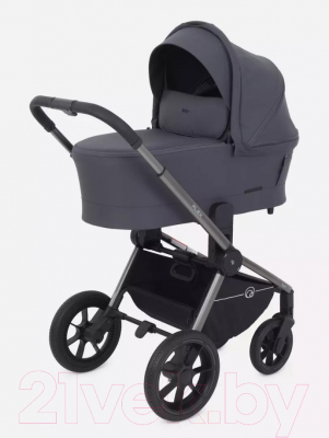 Детская универсальная коляска Rant Flex Pro 3 в 1 2023 / RA075
