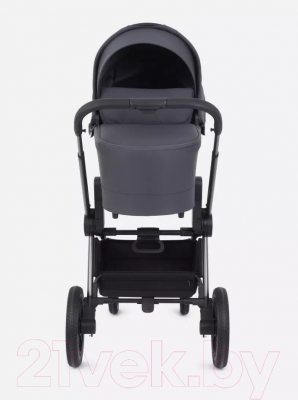 Детская универсальная коляска Rant Flex Pro 3 в 1 2023 / RA075