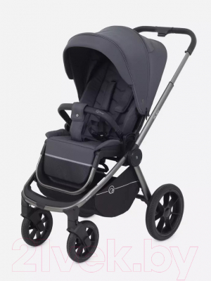 Детская универсальная коляска Rant Flex Pro 3 в 1 2023 / RA075
