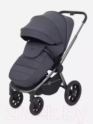 Детская универсальная коляска Rant Flex Pro 3 в 1 2023 / RA075