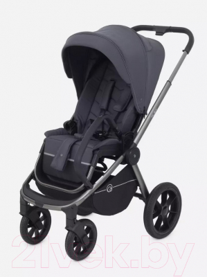Детская универсальная коляска Rant Flex Pro 3 в 1 2023 / RA075
