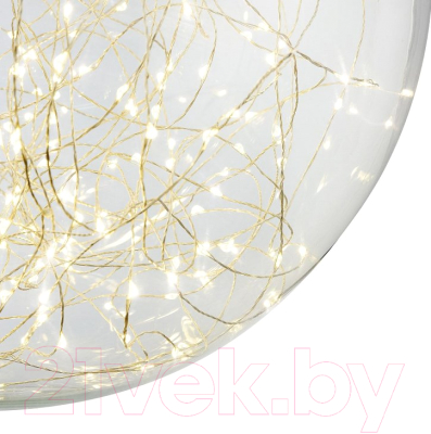 Потолочный светильник Freya Isabel FR6157-PL-24W-TR