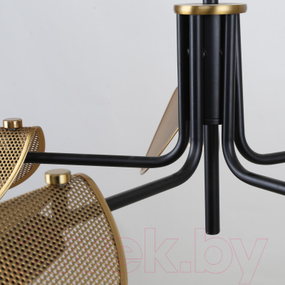 Люстра F-Promo Harsh 4082-5P