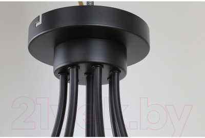 Люстра F-Promo Secure 4084-7P