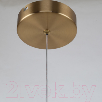 Потолочный светильник F-Promo Chantra 4088-1P