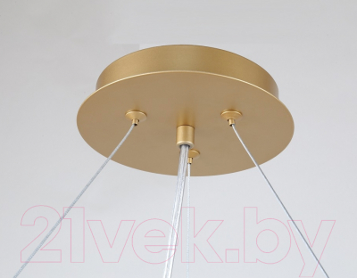 Люстра FAVOURITE Ginkoa 4080-10P