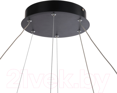 Потолочный светильник FAVOURITE 4131-2P