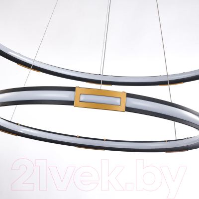 Потолочный светильник FAVOURITE 4131-2P