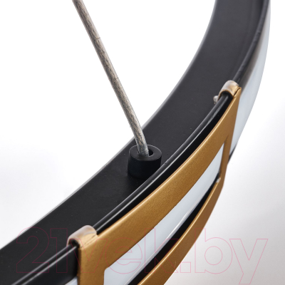 Потолочный светильник FAVOURITE 4131-2P