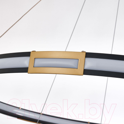 Потолочный светильник FAVOURITE 4131-2P