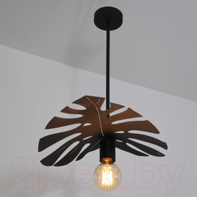 Потолочный светильник Элетех Монстера 111 НПБ 01-60-110 Е27 / 1005405205 (черный муар)