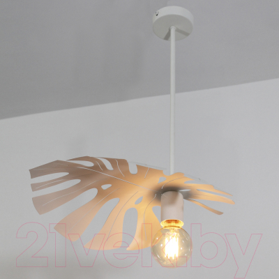 Потолочный светильник Элетех Монстера 111 НПБ 01-60-110 Е27 / 1005405203