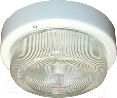 Светильник ЖКХ Элетех Селена 3 НПП 03-60-003 / 1005500126 - фото