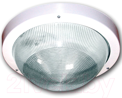 Светильник ЖКХ Элетех Селена 1 НПП 03-100-001 / 1005500125 - фото